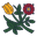 Aime Leon Dore favicon