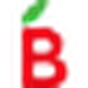 Barbora favicon