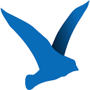 Beach Camera favicon