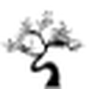 Bonanza Satrangi favicon