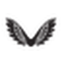 Castore favicon