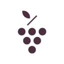 Caudalie favicon
