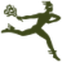 Ftd favicon