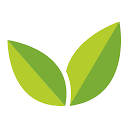 Giant Eagle favicon