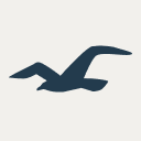 Hollister Co favicon