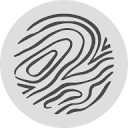 Holzkern favicon