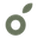 Koala favicon