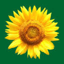 Kraeuterhaus favicon