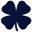 Lucky Brand favicon