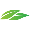 Nature Made favicon