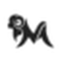 Neemans favicon