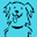 Petflow favicon