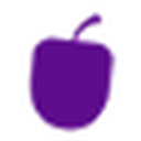 Plum Goodness favicon