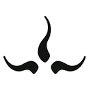 Prana favicon