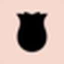 Proflowers favicon