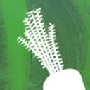 Riverford favicon