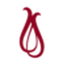 Senco Gold favicon