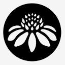 Senita Athletics favicon