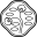 Shiseido favicon