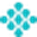 Skinkraft favicon