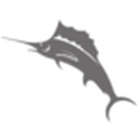 Tommy Bahama favicon