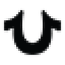 TRUE Religion favicon