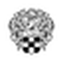 Vince Camuto favicon