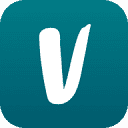 Vinted favicon