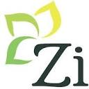 Zishta favicon